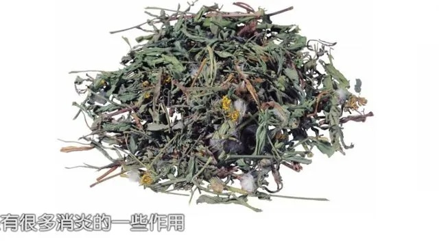 youmin中药材功效与应用：清热解毒，散结消肿的传统疗法