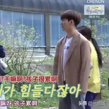 游戏大厅 app，开启多元游戏世界的钥匙