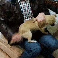 S12 赛季发条魔灵出装全解析，助力战场称霸