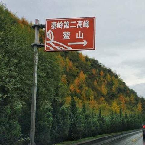 梦幻西游开区时间表（哪个区适合新手）