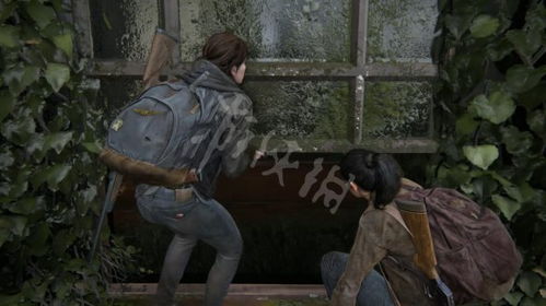 《最后生还者2》西雅图市中心全地图攻略：解锁观光者奖杯必看技巧