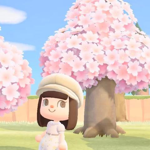 打造梦幻小岛秘籍:《动物森友会》悠闲生活指南,解锁独特设计灵感 打造梦幻小岛秘籍:《动物森友会》悠闲生活指南,解锁独特设计灵感