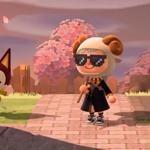 《动物森友会》魔兽世界职业套装代码获取攻略，独家分享！