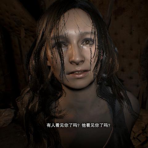 生化危机 5 汉化补丁 3DM，开启经典游戏的汉化之旅