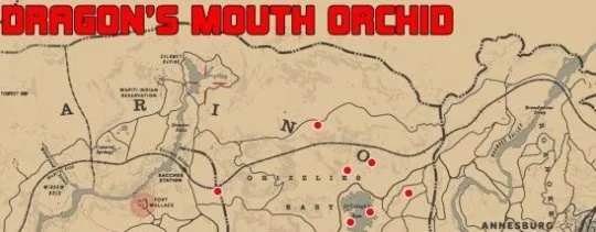 《荒野大镖客2》珍品兰花全位置揭秘攻略指南 《荒野大镖客2》珍品兰花全位置揭秘攻略指南