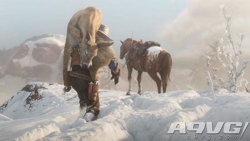 《荒野大镖客2》动物素材详解：解锁生存技能必备攻略