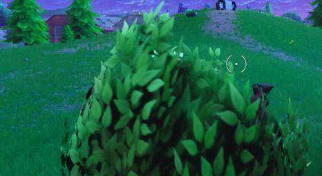 《堡垒之夜》伪装灌木丛技巧揭秘：高效隐蔽新玩法攻略！