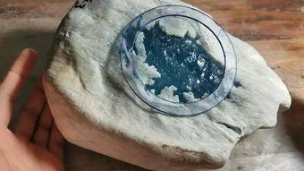 石皮大鱼,能用来做什么