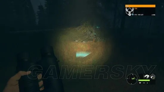 《猎人野性呼唤》全地图攻略揭秘：欧美西伯利亚任务攻略深度解析