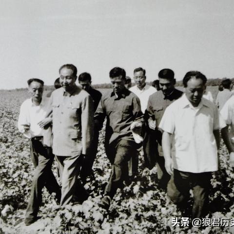 模拟农场15新手必看！全攻略+实用技巧解锁高效种植之旅