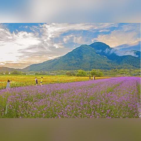 《仙剑奇侠传5》BOSS挑战攻略：揭秘绝世秘境强敌！