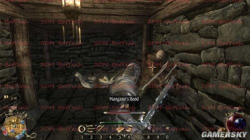 《两个世界2》第一章攻略下篇：深度解析，新手必看！