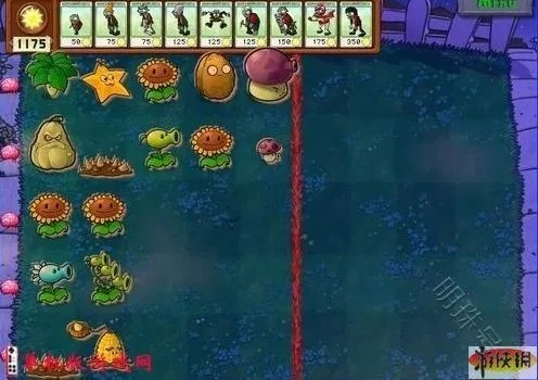 《植物大战僵尸》新手必看！掌握高效刷钱技巧，轻松升级！