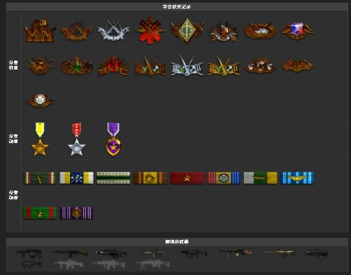 《战地2》网战徽章91枚轻松拿，独家攻略助你快速升级！