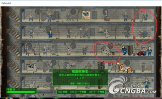 《辐射3》全流程攻略+5DLC深度解析，揭秘游戏隐藏秘籍