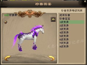 朱诺兽强力解析：时空异客数码兽阵容推荐攻略