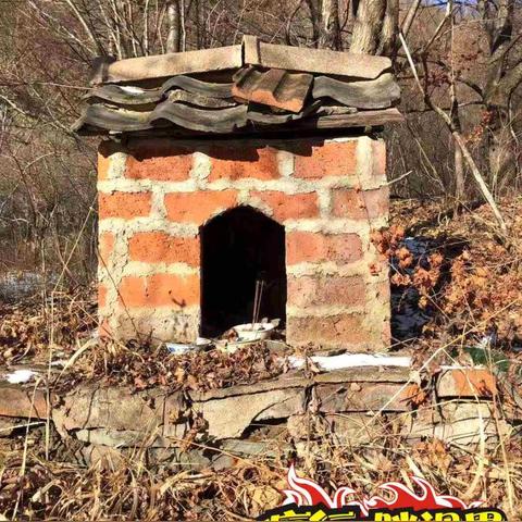 梦幻诛仙焚香仙灵培养指南：天赋亲和及弱点选择