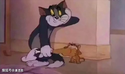 尾行小游戏,  尾行小游戏让你体验一把猫捉老鼠？