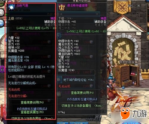 女圣骑士Buff换装全解析，打造最强辅助之钥