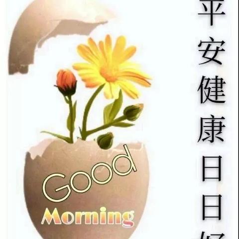 《绝地求生》5月3日第12轮更新揭秘:全新内容深度解析! 《绝地求生》5月3日第12轮更新揭秘:全新内容深度解析!