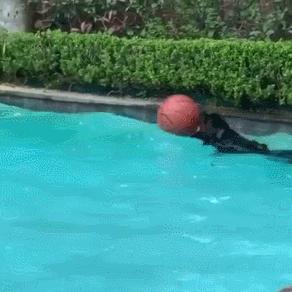 NBA2K18内线运球技巧揭秘：掌握沉底步与梦幻脚步，提升实战表现