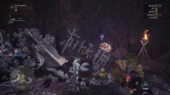 《怪物猎人世界》捕猎秘籍：环境生物图鉴捕获技巧全解析