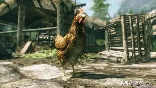 《上古卷轴5》高效杀鸡攻略:轻松掌握鸡肉获取技巧 《上古卷轴5》高效杀鸡攻略:轻松掌握鸡肉获取技巧