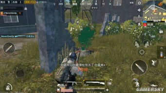 绝地求生射击技巧揭秘：喷子武器高效使用攻略