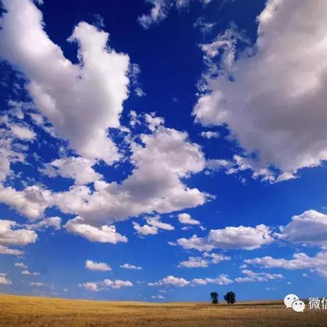 新江湖官网,你想当船长吗？