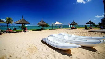 探寻天堂的在线地址8