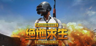 《绝地求生》新皮肤揭秘：玩家最爱竟是这款独特设计！