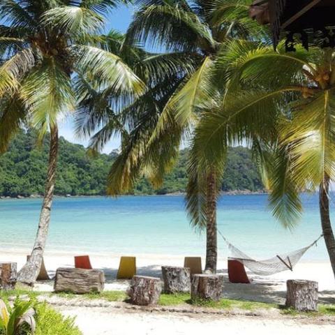 五彩珊瑚碎片,收藏有何好处