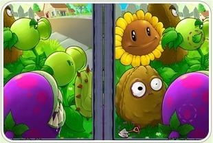 植物大战僵尸找茬(有攻略大全吗) 植物大战僵尸找茬(有攻略大全吗)