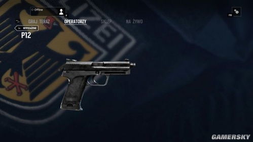 《彩虹六号围攻》枪械面板深度解析:掌握实战制胜秘诀 《彩虹六号围攻》枪械面板深度解析:掌握实战制胜秘诀