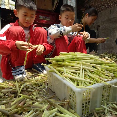 《我的世界》1.12版刷物品攻略：轻松实现无限资源，独家技巧分享