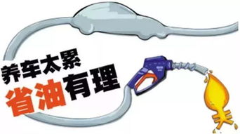 4d肉搏团哪里能看？老司机分享几个免费途径！