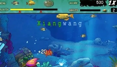 吞食鱼2在哪下载，全方位下载攻略解析