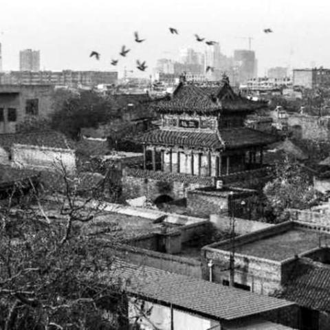 帝国时代2秘籍对电脑有效么，深入探究与解析