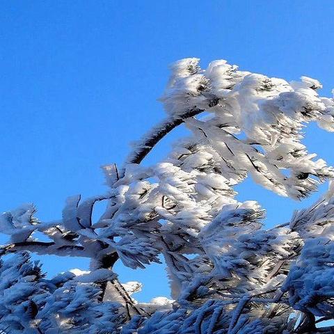 《原神》V2.8海岛探秘：烟山雾阁宝箱攻略，轻松解锁隐藏宝藏