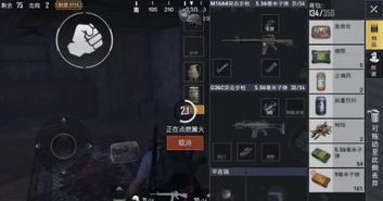 刺激战场体验服下载包，开启全新枪战世界的密钥