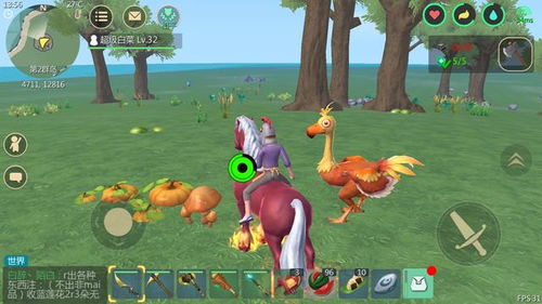 绒球奇美拉哪里买？这几个地方靠谱又便宜！