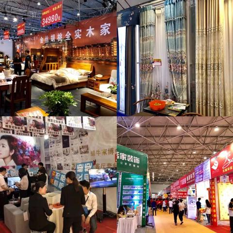 最强蜗牛,探秘如何拆冰箱的奇幻之旅 最强蜗牛,探秘如何拆冰箱的奇幻之旅