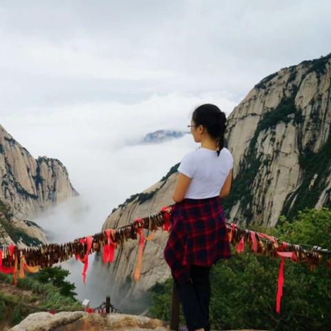 江湖1.0,实力如何才能登顶