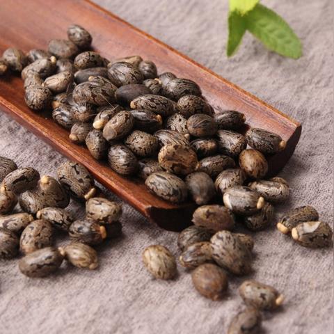 探秘植物大战僵尸战略版，策略与乐趣的完美融合