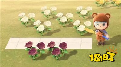 蓝玫瑰杂交技巧揭秘：《动物森友会》高效繁殖攻略指南