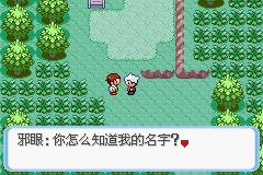 口袋妖怪蛇纹木怎么玩?新手快速上手攻略来啦! 口袋妖怪蛇纹木怎么玩?新手快速上手攻略来啦!