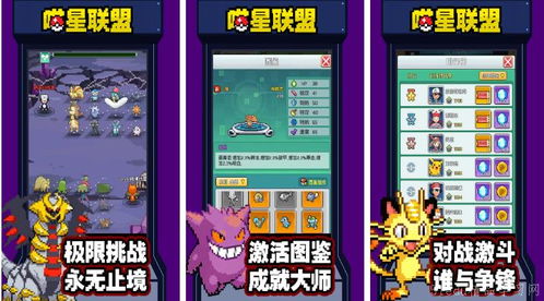 《宝可梦卡牌Pocket》全新分享功能升级，深度社交体验即将开启