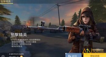 狙击精英3联机攻略：新手必看高效组队技巧