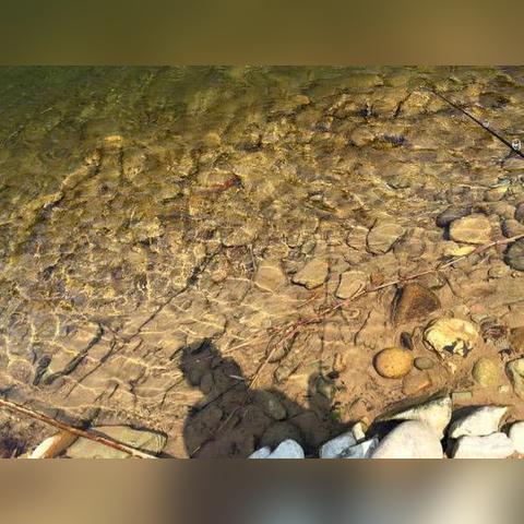 梦幻西游钓鱼全攻略，揭秘多少级可以钓鱼及钓鱼技巧