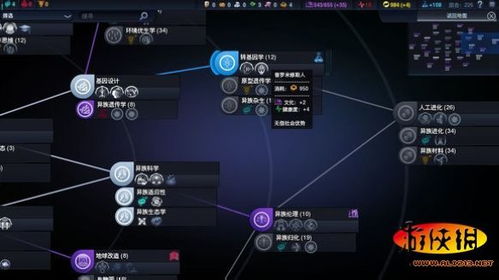 曙光攻略：深度解析流程技巧，新手必看！